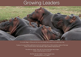 hippo_leadership.jpg