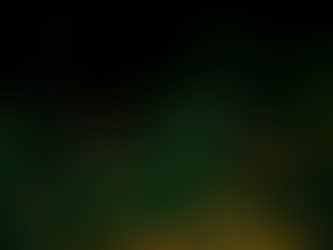 Facilita Tamaulipas migración de la mariposa monarca: CPBT-A la fecha suman 300 reportes y avistamiento, desde Nuevo Laredo hasta Soto la Marina y Victoria.