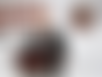 El paquete económico 2026 prioriza el bienestar de las familias y la estabilidad financiera: Carlos Irán Ramírez.