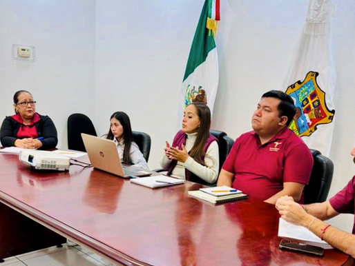 Capacita TPT a San Nicolás y Aldama en acceso a la información pública.