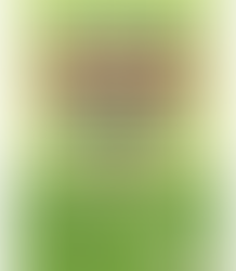  Llevará Gobierno de Reynosa programa EcoPatas a colonia Puerta Grande. 