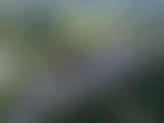 La FMVZ-UAT cierra con gran éxito los eventos del 68 aniversario de su fundación.