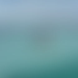 TAMAULIPAS SEGURO TE ENAMORA!