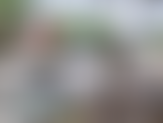 Reparó COMAPA fugas de agua potable en el fraccionamiento San Valentín.