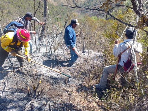 Reporta gobierno de Tamaulipas avance del 90% en control de incendio forestal en Jaumave.
