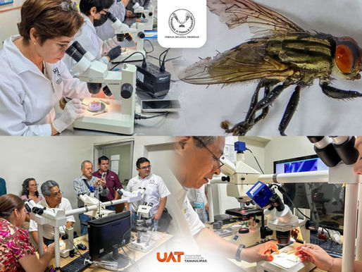 Colabora la UAT en medidas preventivas contra el gusano barrenador.