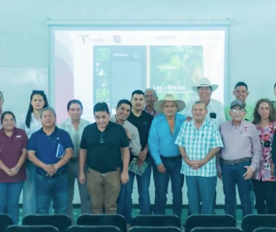 Refuerza Tamaulipas capacitación para proteger cultivos de cítricos ante el HLB.