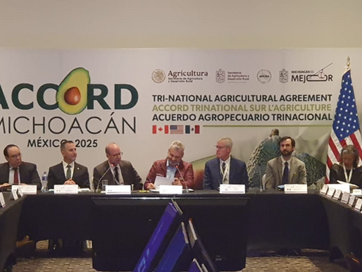 Participa Tamaulipas en el Acuerdo Agropecuario Trinacional 2025Octubre 18 de 2025 Morelia, Michoacán. – Con