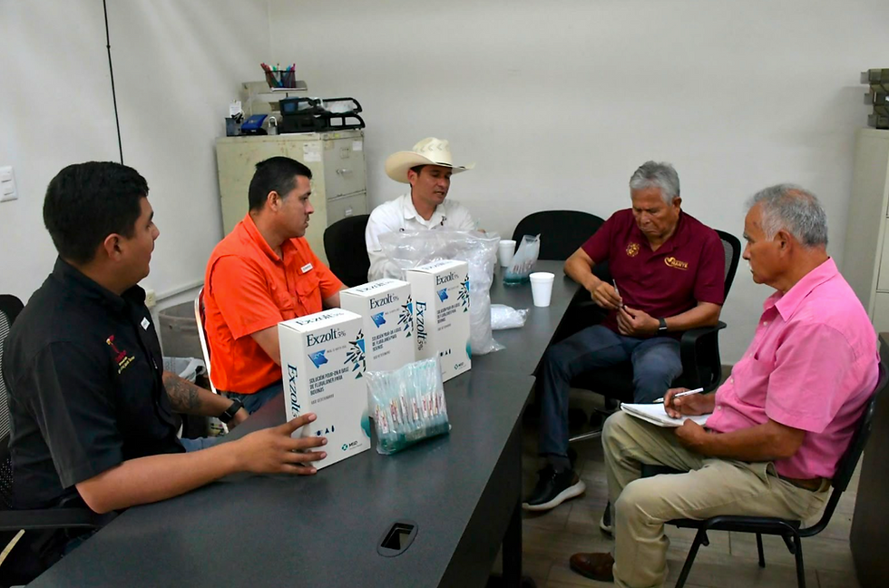 Trabajo coordinado protege a becerros recién nacidos del gusano barrenador.