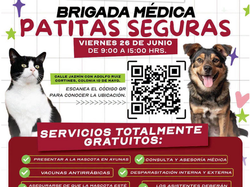 Invita Alcalde Carlos Peña Ortiz a la Brigada Médica Veterinaria Patitas Seguras en la 10 de Mayo..