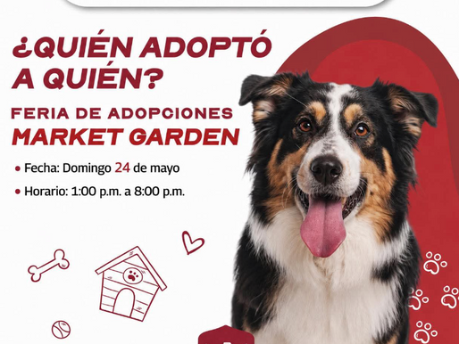 Invita el Presidente Carlos Peña Ortiz a la Feria de Adopciones hoy domingo 24 de mayo El Alcalde Carlos Peña Ortiz invita a las familias de Reynosa a sumarse a la Feria de Adopciones..