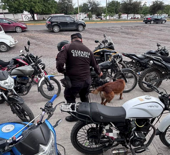 Realiza el Agrupamiento Canino de la Guardia Estatal inspección preventiva en el ITACE Victoria.