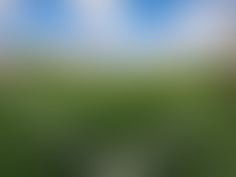 Continúa Gobierno de Reynosa con la construcción de infraestructura deportiva.