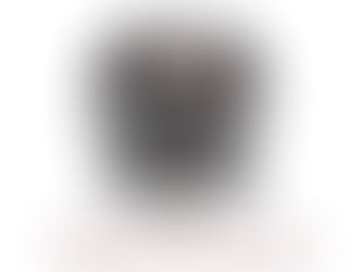 CONGRESO DEL ESTADO CAPSULA INFORMATIVA.