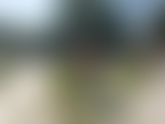 Procura Municipio plazas limpias para las familias reynosenses Para que todas las familias de Reynosa disfruten de las plazas públicas en sus colonias..