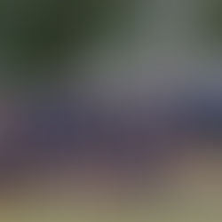 Inician deportistas de la UAT su participación en Campeonatos Nacionales Universitarios ANUIES 2026Integrado por atletas de 7 disciplinas.