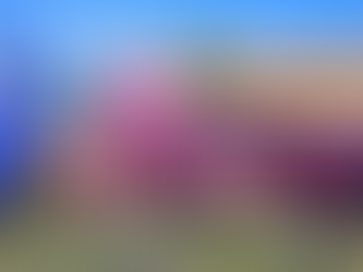 Compiten "Por Ellas, Por Ti, Por Todas" en Reynosa contra el cáncer de mama..