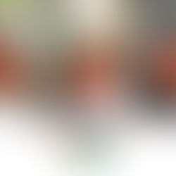 Talento tamaulipeco destaca en la Olimpiada Nacional de Matemáticas.