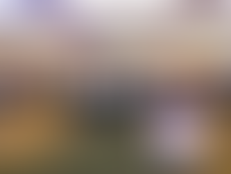 Apoyan Américo Villarreal Anaya y Carlos Peña Ortiz desarrollo de Vivienda para el Bienestar..