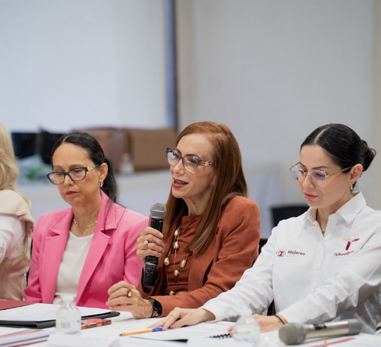 DIF Tamaulipas impulsa la igualdad de género y fortalece el sistema de cuidados-El organismo participó en la decimoquinta sesión del Sistema Estatal para la Igualdad entre Mujeres y Hombres.