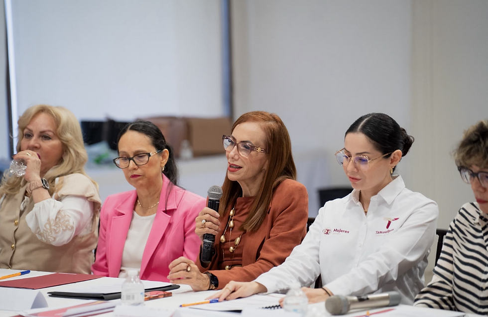 DIF Tamaulipas impulsa la igualdad de género y fortalece el sistema de cuidados-El organismo participó en la decimoquinta sesión del Sistema Estatal para la Igualdad entre Mujeres y Hombres.