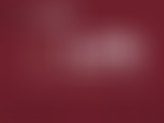 Durante el 2025, derivado de las acciones de investigación, búsqueda e identificación de personas no localizadas y en estricto apego a los protocolos de actuación vigentes, se logró la localización.