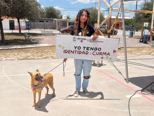 Brindó Gobierno de Carlos Peña Ortiz atención veterinaria gratuita en Ampliación Villas del Roble..
