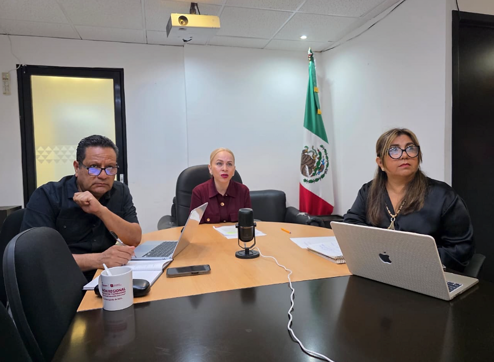 Refuerza SET estrategias para mejorar la lectoescritura en primaria.