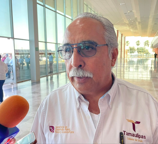 Registra Tamaulipas disminución de casos de gusano barrenador.