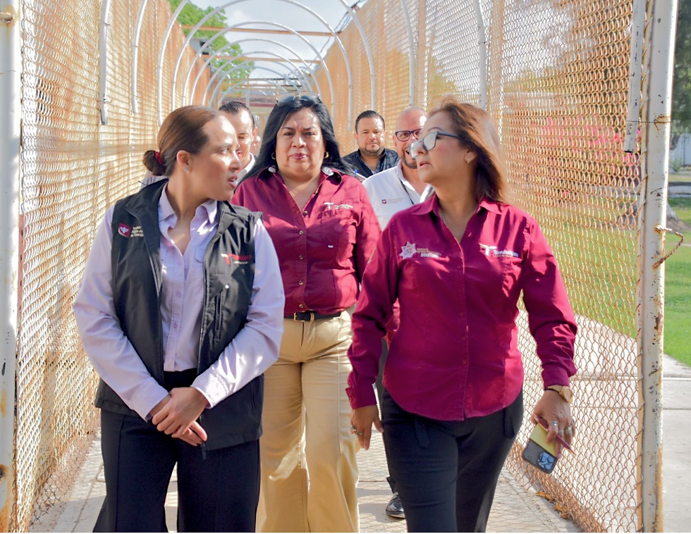 Brinda IDPET atención jurídica personalizada a más de 100 personas en el CEDES Matamoros.