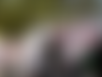 Arranca operativo "Rescatando Corazones", en coordinación del gobierno municipal y DIF Matamoros.