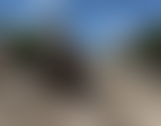 Dirige Carlos Peña Ortiz el Programa de Obra Pública Más Grande en la Historia de Reynosa..