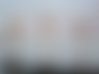 Tamaulipas y el IPN inauguran primer Recinto Universitario Polivirtual en México.