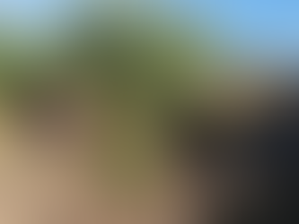 Transforma a Reynosa trabajo del Gobierno de Carlos Peña Ortiz.