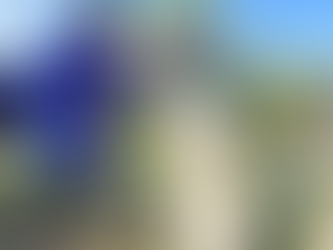 Provee Gobierno de Carlos Peña Ortiz herramientas para conservación animal.