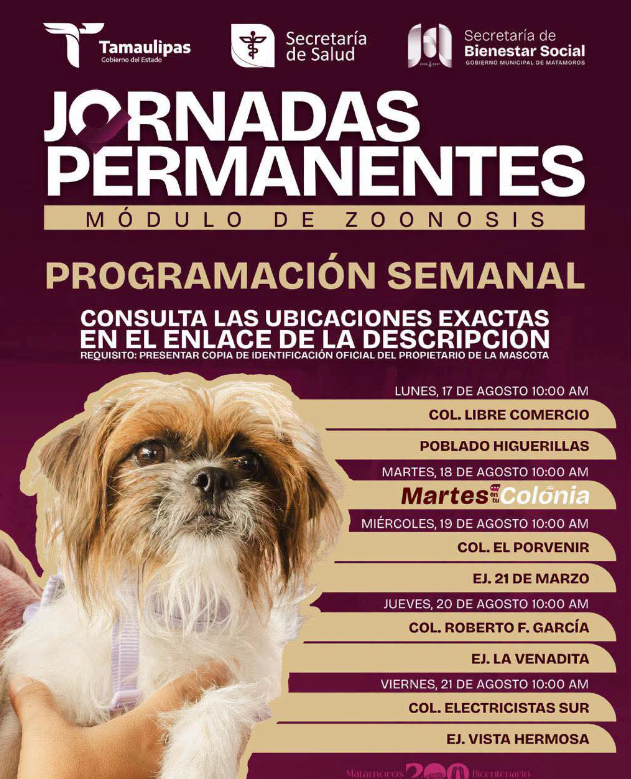 Mantiene Gobierno Municipal jornadas permanentes de zoonosis y descacharrización en Matamoros.