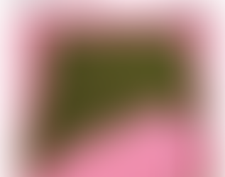 A talleres del Instituto Municipal de la Mujer Invita Alcalde de Reynosa.