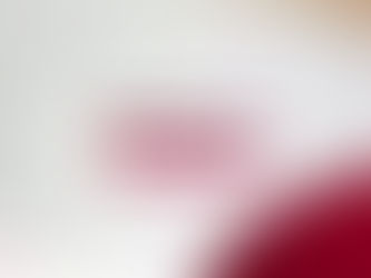 Ceremonia Cívica de Honores a la Bandera