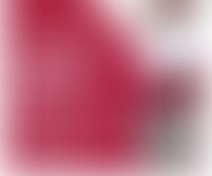 Invita SEBIEN a conferencia magistral Noviembre 07 de 2025Ciudad Victoria, Tamps.-La videoconferencia magistral “Indicadores Sociales y de Ingresos (INEGI, 2024)”.