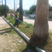 Intensivo programa de limpieza del Gobierno de Carlos Peña Ortiz en vialidades de Reynosa..