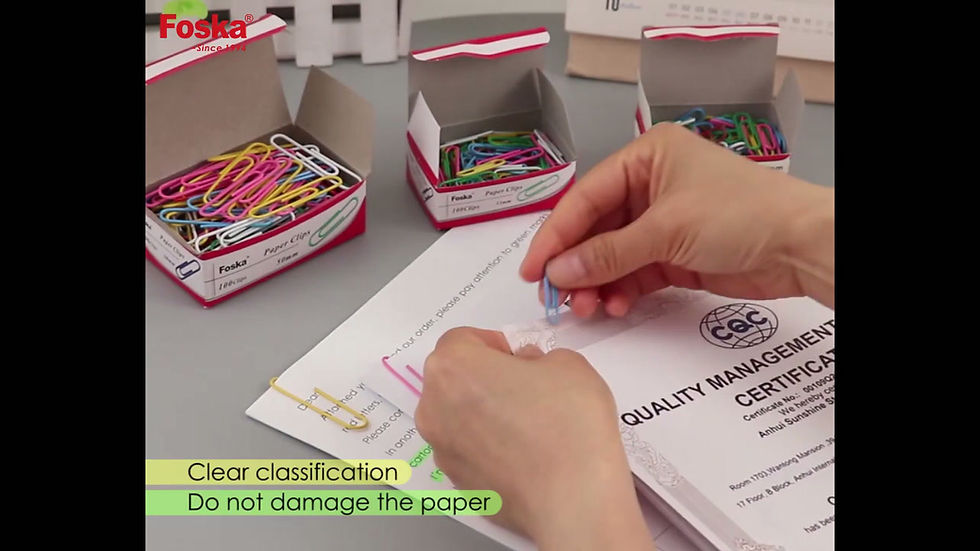 Large Paper Clips - Coloured