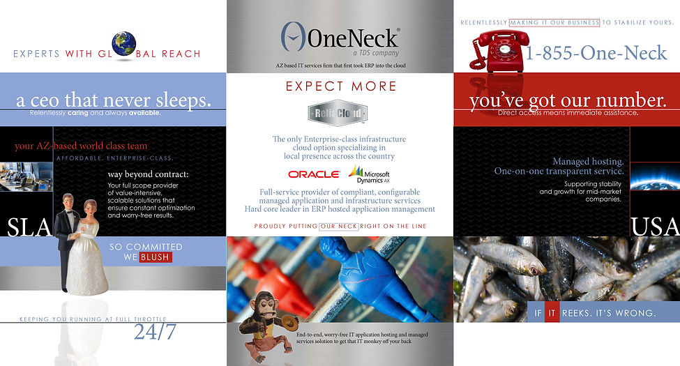 400_extendedScope_OneNeck boards.jpg