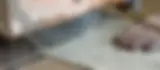 sh_05.webp