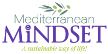 MedMindsetMasterLogo.png