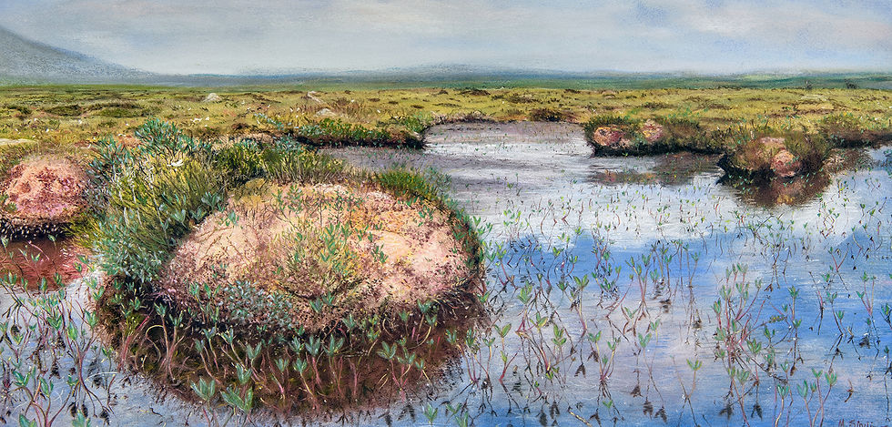 Blue Ray Reflections