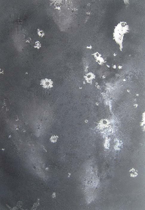 Saltscape