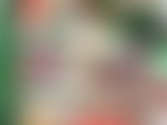 A Drag Christmas Party Fundraiser For Mega Drive Events December 2022