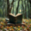 books in a magical forest.jpg