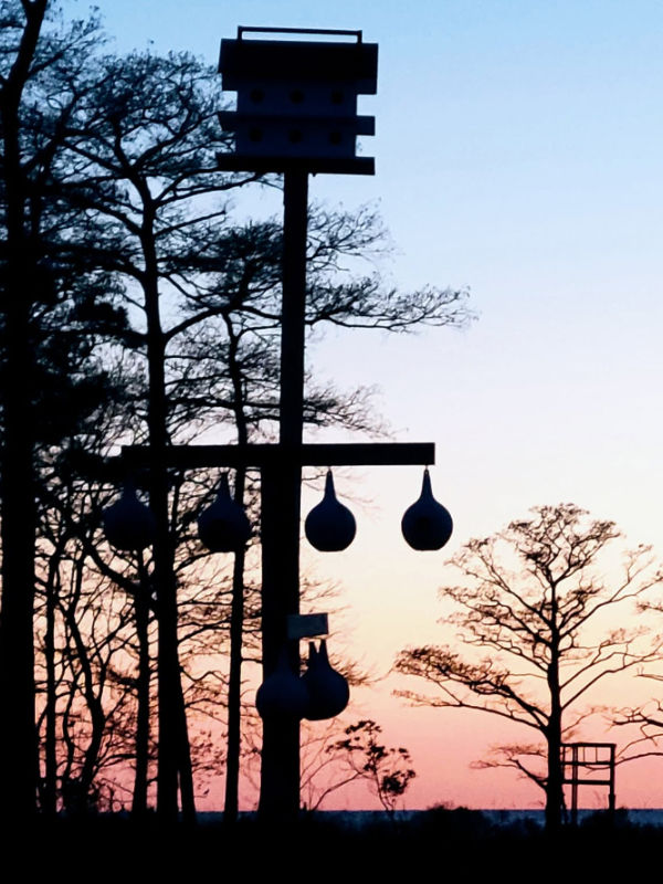 Sunset on the Albemarle Sound-- Purple Martin Houses