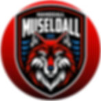 Logo HB Museldall.jpg